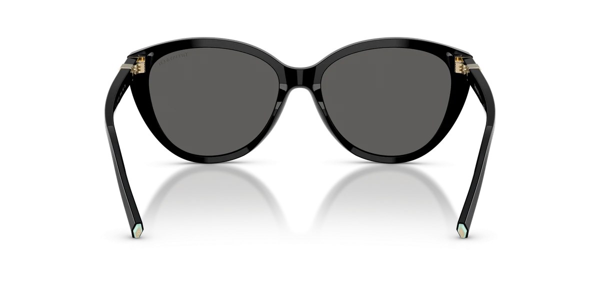 Tiffany & Co. TF4251 Blue Book