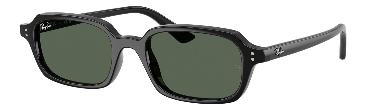 Ray-Ban RB4455 Nero Lenti Verde scuro
