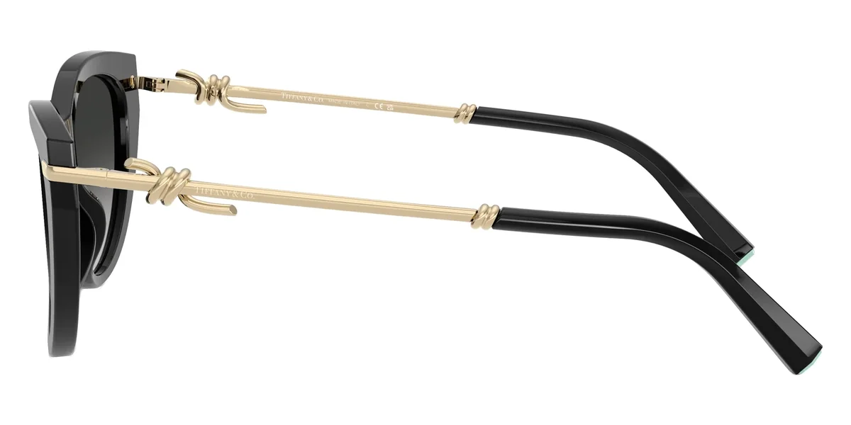 Tiffany & Co. TF4253 — Occhiali da Sole Donna