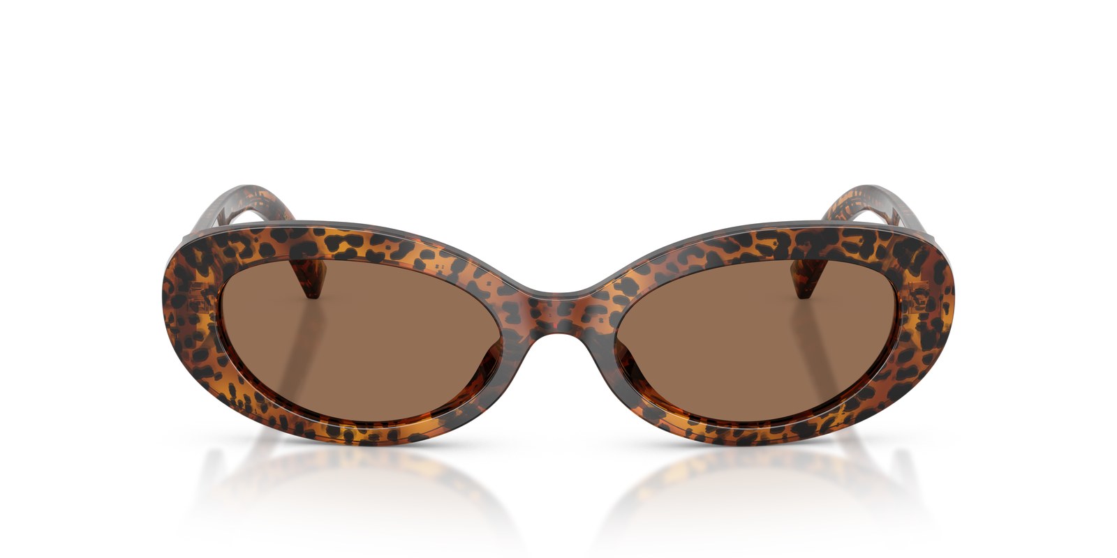 Dolce & Gabbana DG4537 Leopardato Trasparente · Lenti Marrone Scuro — foto 2
