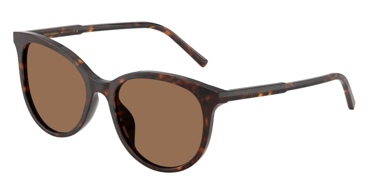 Dolce & Gabbana Everyday DG4540 havana 502/13