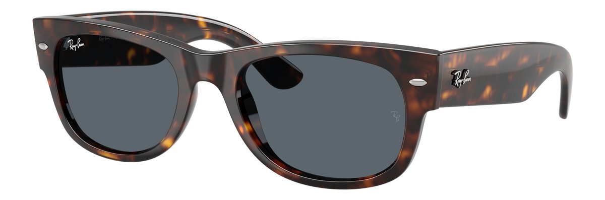 Ray-Ban RB0832S Havana Lenti Blu