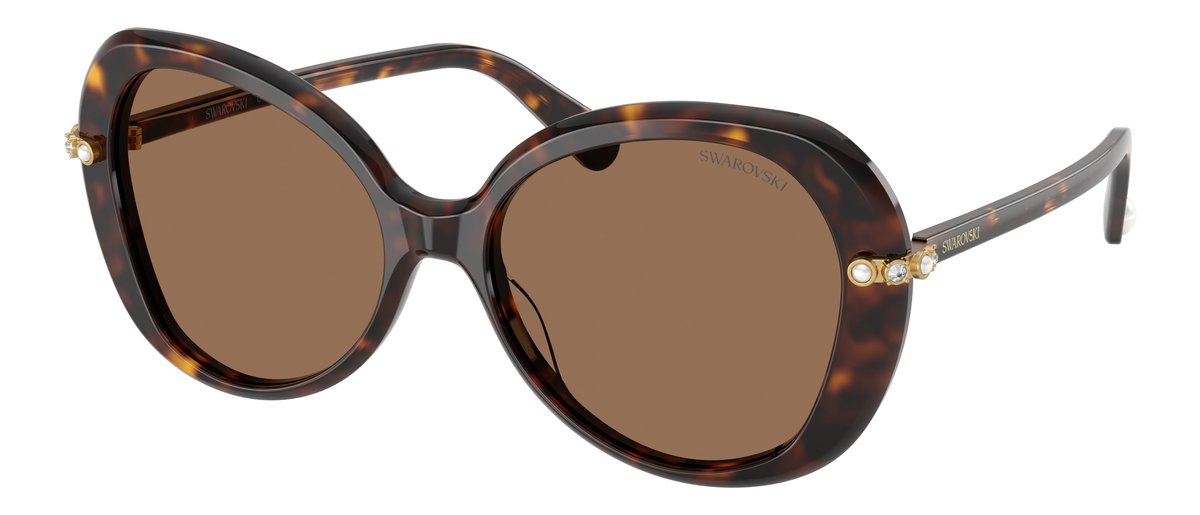 Swarovski SK6059 Havana