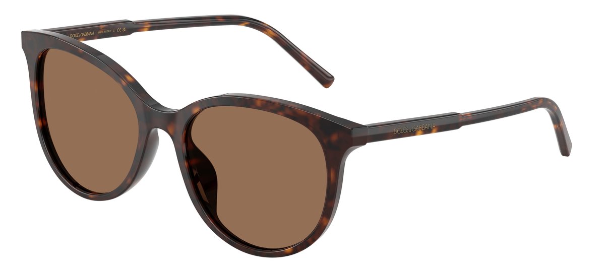 Dolce & Gabbana DG4540 Havana