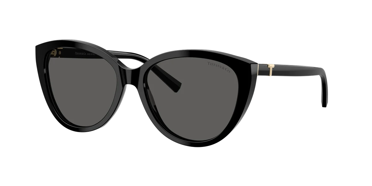 Tiffany & Co. TF4251 Blue Book