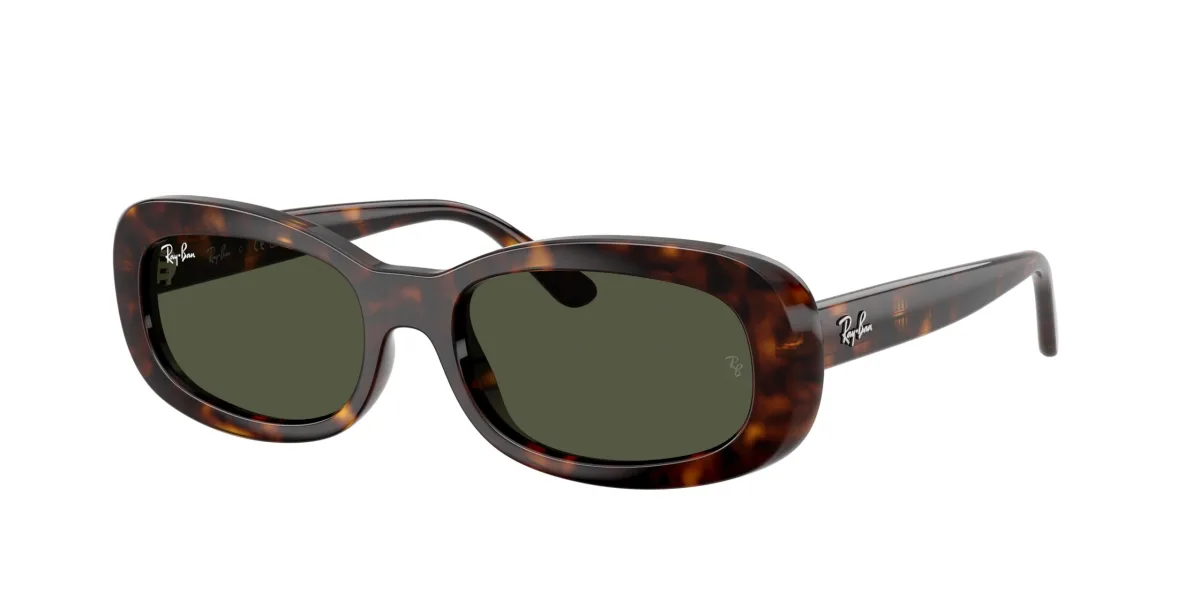 Ray-Ban RB2221 havana 902/31