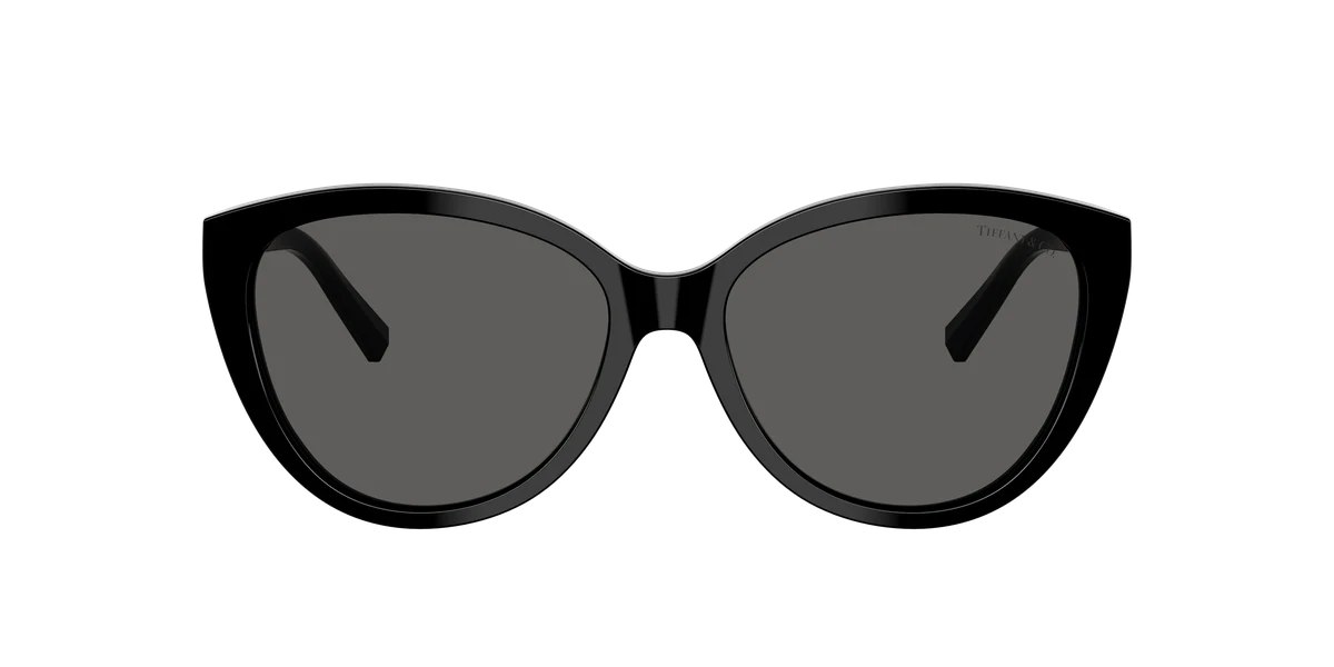 Tiffany & Co. TF4251 Blue Book