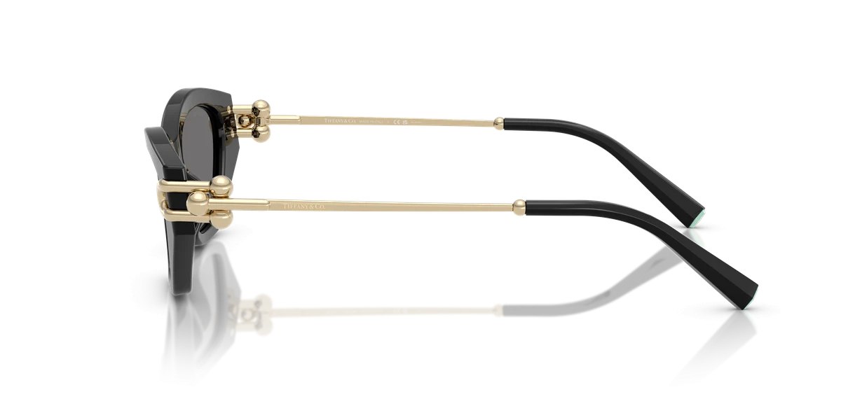 Tiffany & Co. TF4231 Tiffany Blue