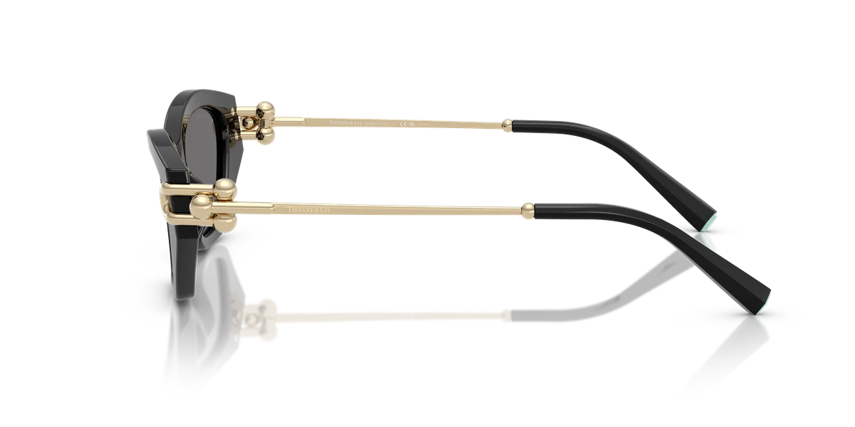 Tiffany & Co. TF4231 Tiffany Blue