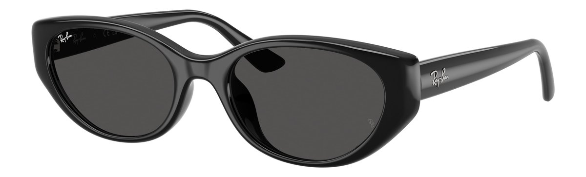 Ray-Ban RB4457D Nero Lenti Grigio scuro