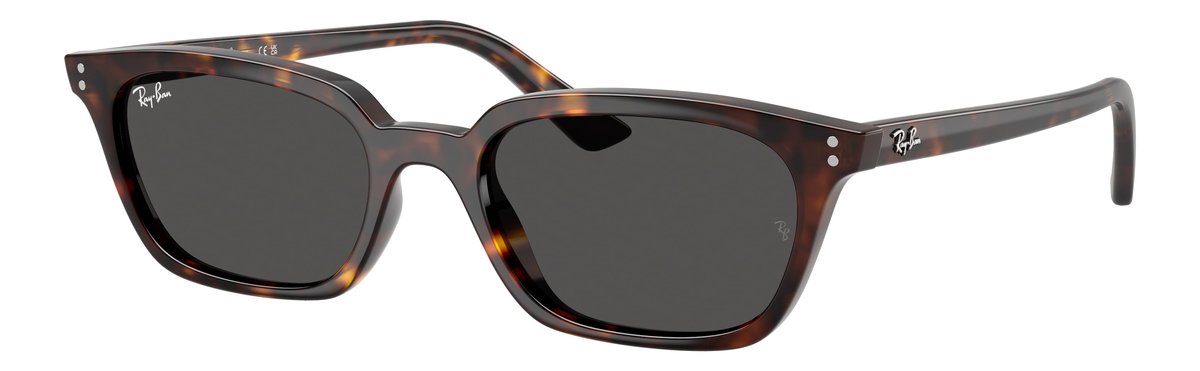 Ray-Ban RB4456 Havana Lenti Grigio scuro