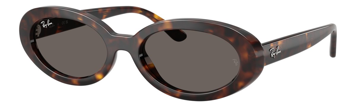 Ray-Ban RB2223 Havana Lenti Grigio scuro