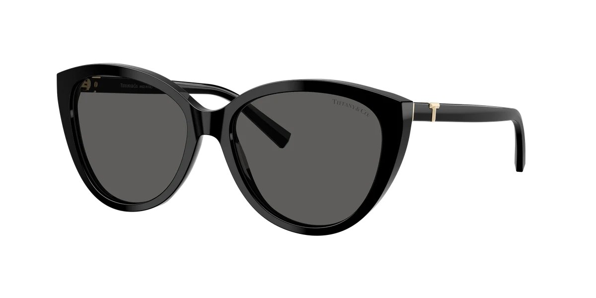 Tiffany & Co. TF4251 Blue Book