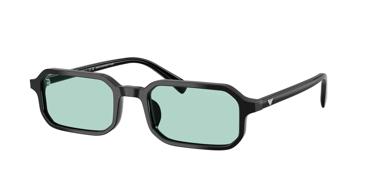 Emporio Armani EA4253 Elegante Nero