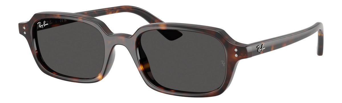Ray-Ban RB4455 Havana Lenti Grigio scuro