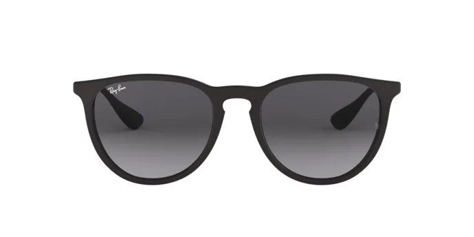 Ray-Ban Erika Havana