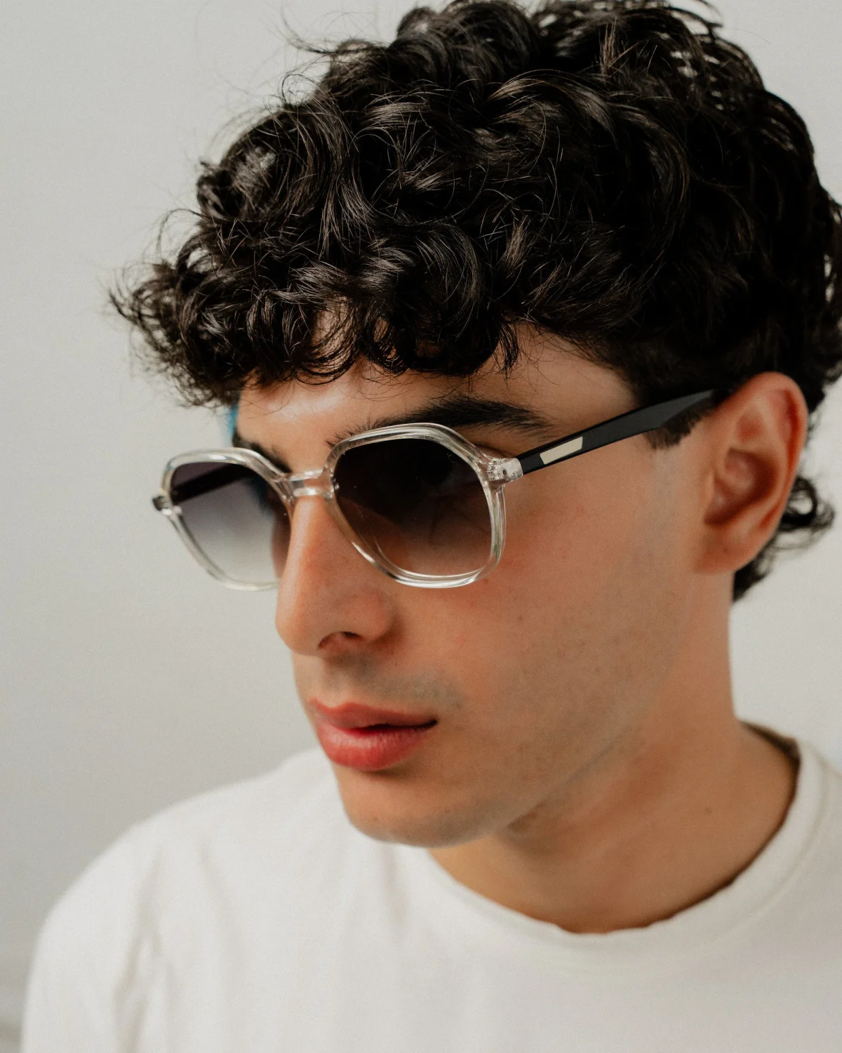 Calabasas Balboa Trasparente