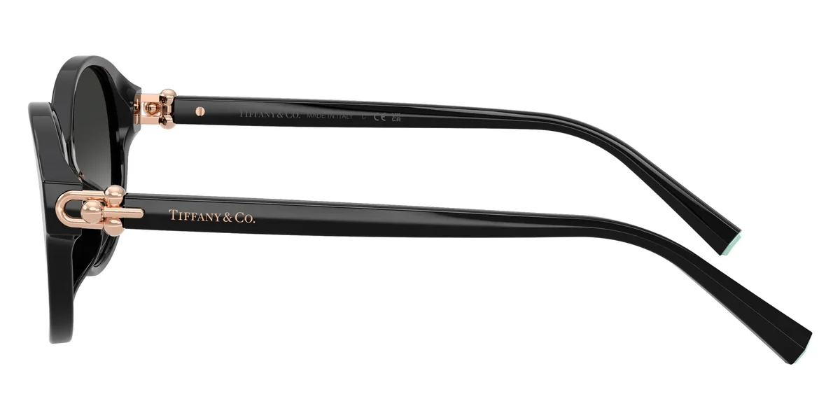 Tiffany & Co. TF4263D — Occhiali da Sole Donna