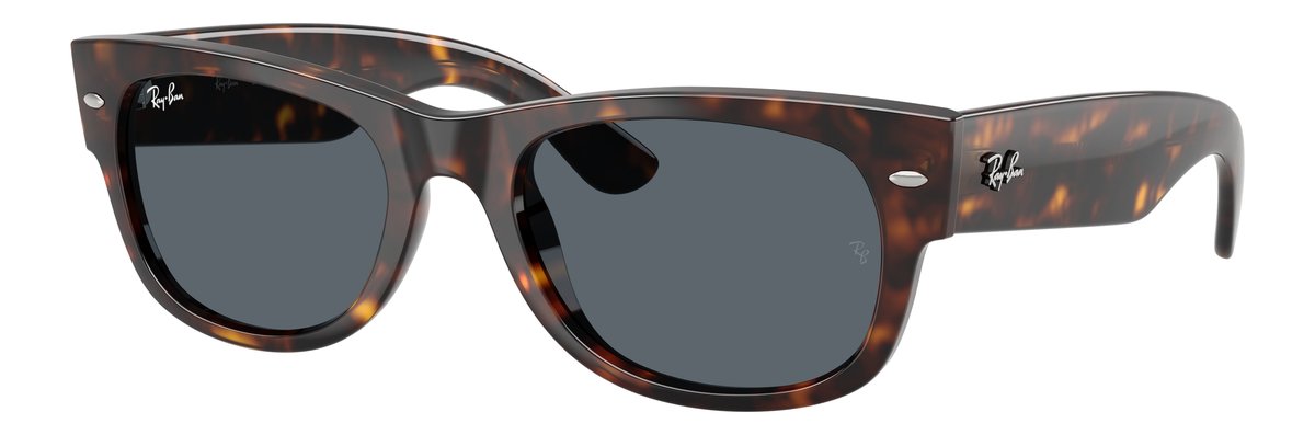Ray-Ban RB0832S Havana Lenti Blu