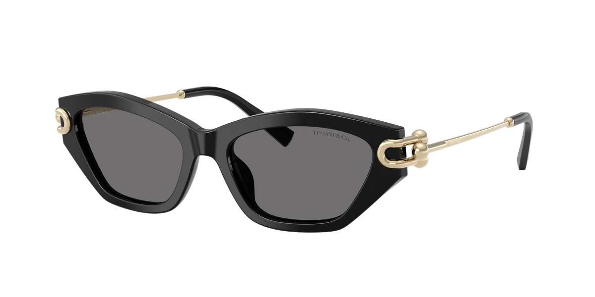 Tiffany & Co. TF4231 Tiffany Blue