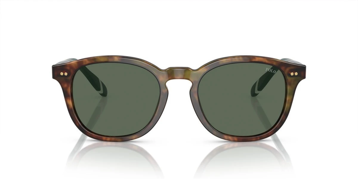 Polo Ralph Lauren PH4206 Nero Lenti Grigie