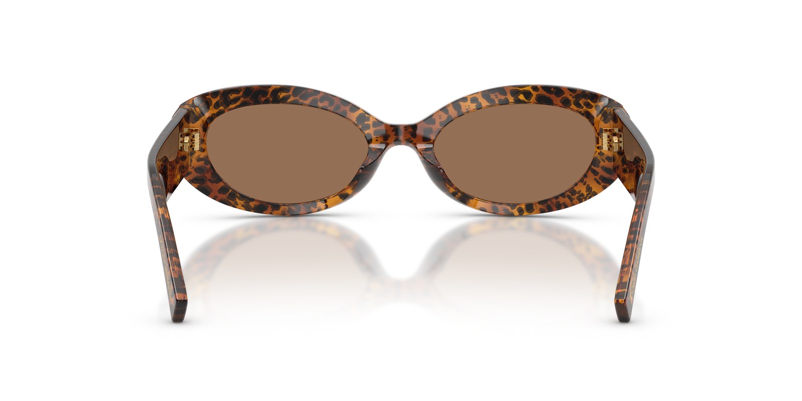 Dolce & Gabbana DG4537 Leopardato Trasparente · Lenti Marrone Scuro — foto 4